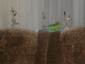 Андрюха Іванов фотография #3 (источник - https://vk.com/id108861038)