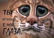 Ігор Коваленко фотография #14 (источник - https://vk.com/id133375161)