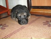 Фотография Кузьминской Александры