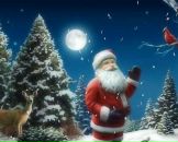 Фотография Гафиева Ильнура