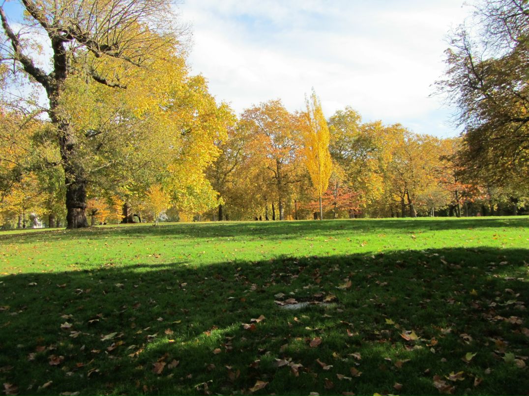 Михаил Плотников фотография #49