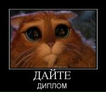 Анна =) фотография #9 (источник - https://vk.com/id11489198)