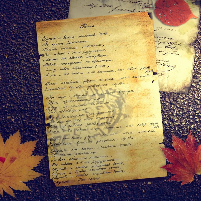 Ru Community фотография #31