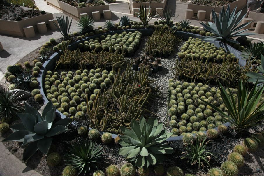 Джейн Эйр фото №10