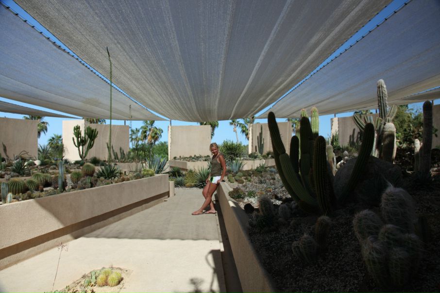 Джейн Эйр фото №12