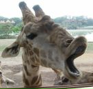 Фотография Кондратюка Виктора