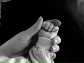 Фотография Almyashova Eva