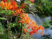 Фотография Путиловой Нины