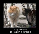 Фотография Смирнова Евгения