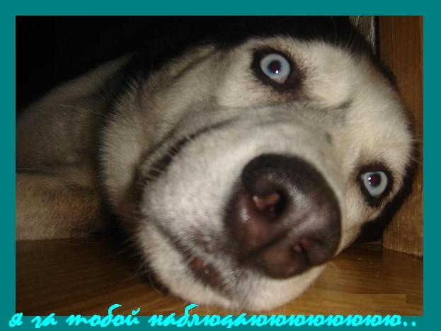 Вяче Слав фотография #42