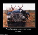 Виктор Иванов фотография #38 (источник - https://vk.com/id1087801)