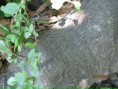 Яра Іванчук фотография #48 (источник - https://vk.com/id85712890)