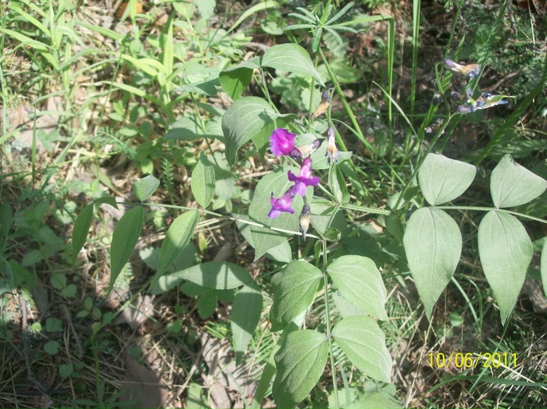 Анна Игнатенко фотография #9