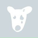 Толік Пав фотография #4 (источник - https://vk.com/id170972119)