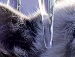 Софійка Генелюк фотография #21 (источник - https://vk.com/id129601740)