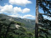 Вікторія Кащенко фотография #45 (источник - https://vk.com/id7363693)