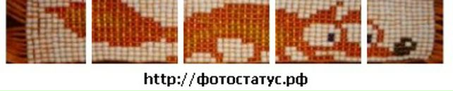 Игорь Чаленко фотография #40 (источник - https://vk.com/id16424287)