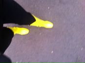 Фотография Диминой Ани