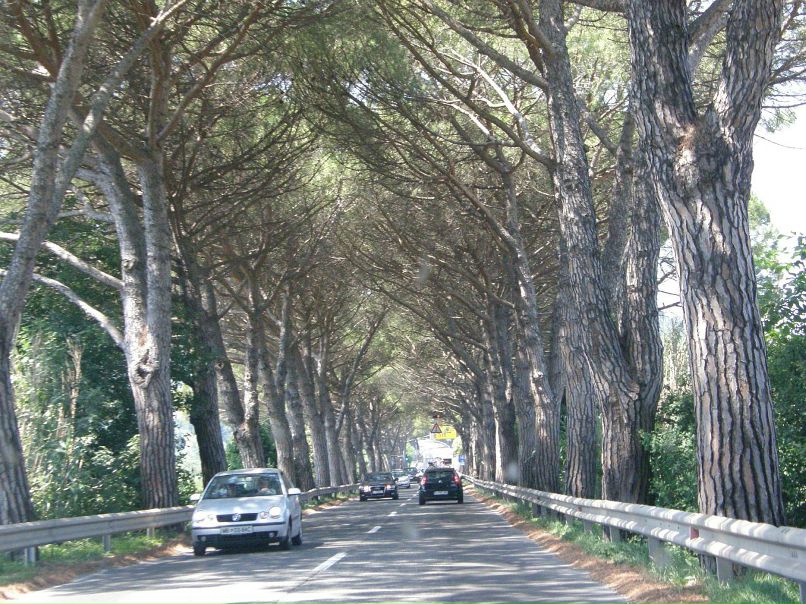 Ксения Черных фотография #21