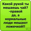 Вікторія Ведмидь фотография #3 (источник - https://vk.com/id132230284)
