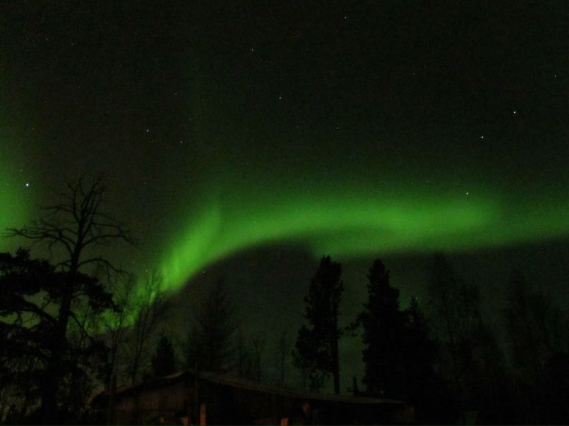 Игорь Тимофеев фотография #42