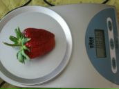 Юлія Золотоцька фотография #2 (источник - https://vk.com/id64797630)