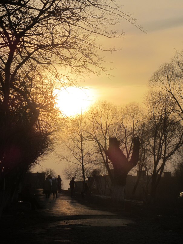 Лена Башкирова фотография #44