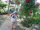 Віка Брижак(бирлінська) фотография #6 (источник - https://vk.com/id132499944)