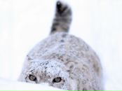 Фотография Кирьяновой Екатерины