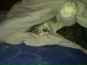 Фотография Шефер Любови