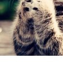 Оля Станіцька фотография #27 (источник - https://vk.com/id88519209)