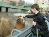 Фотография Целищева Влада