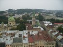 Козерог Кінь фотография #1