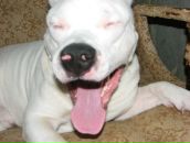 Фотография Rumin Andrey