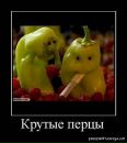 Міша Мелещук фотография #42 (источник - https://vk.com/id131626885)