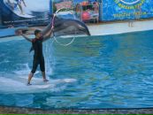 Дарія Василевська фотография #37 (источник - https://vk.com/id10233208)