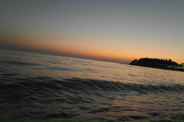 Сергей Гомов фото №38