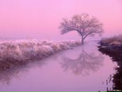 Фотография Павлова Серёжи