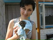 Фотография  