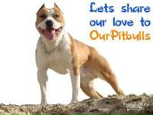 Діма Нікітін фотография #14 (источник - https://vk.com/id38752740)