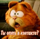 Лізуся Собачкінна фотография #19 (источник - https://vk.com/id145886257)