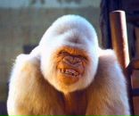 Фотография Шуваева Евгена