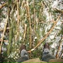 Фотография Антонова Павла