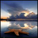 Іра Ковальчук фотография #27 (источник - https://vk.com/id178221809)