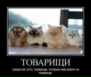 Павло Євтушенко фотография #14 (источник - https://vk.com/id140373541)