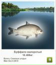Ігор Крупела фотография #14 (источник - https://vk.com/id83319063)