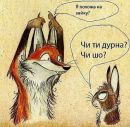 Віталік Романюк фотография #9 (источник - https://vk.com/id19248700)