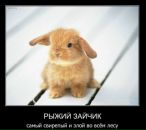 Фотография Фомичевой Марины