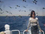 Фотография Соколовой Екатерины