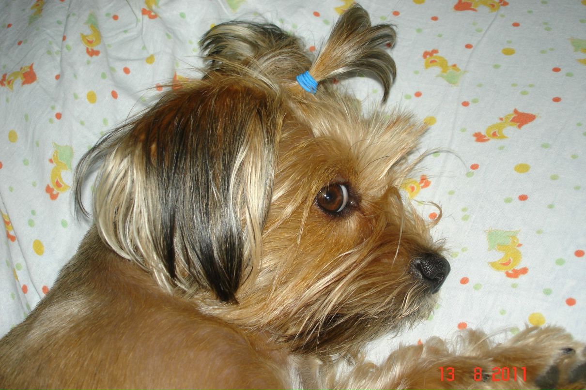 Иван Андреев фотография #8